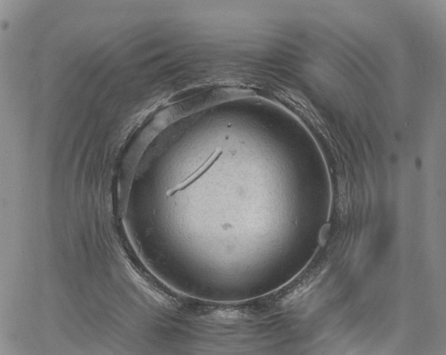 X0000061740441200512091614