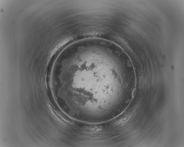 X0000061740443200512091614