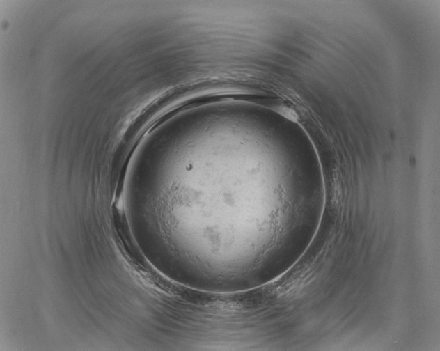 X0000061740444200512091614