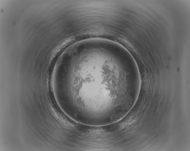 X0000061740446200512091614