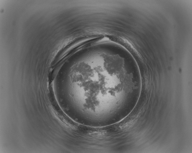 X0000061740447200512091614