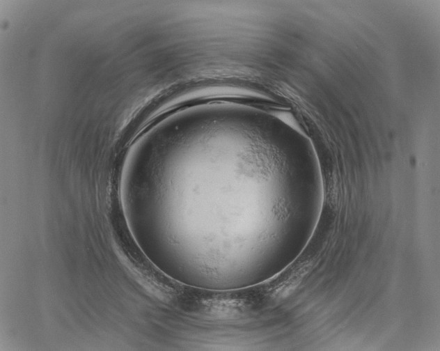 X0000061740448200512091614