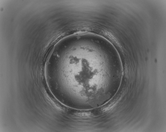 X0000061740449200512091614