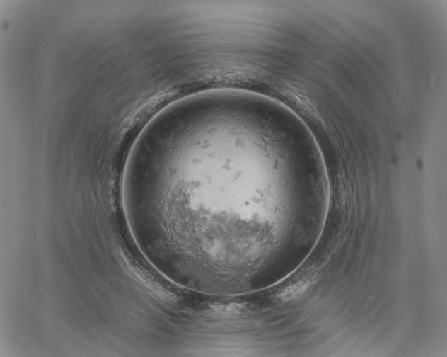 X0000061740450200512091614