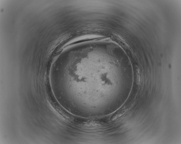 X0000061740451200512091614