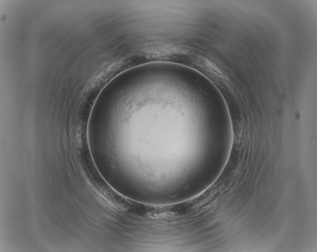 X0000061740452200512091614