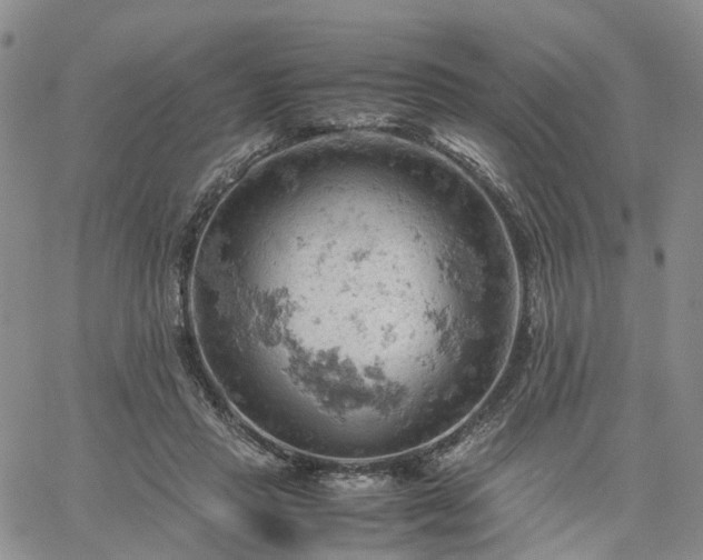 X0000061740453200512091614