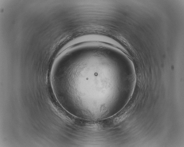 X0000061740454200512091614