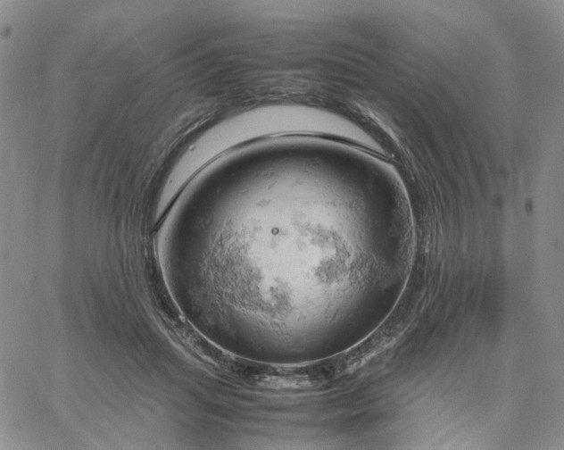 X0000061740455200512091614