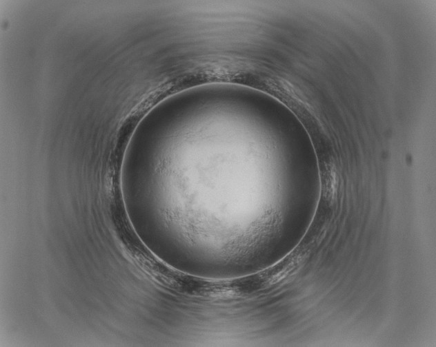 X0000061740456200512091615