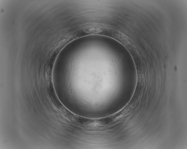 X0000061740460200512091615