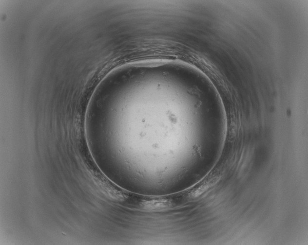 X0000061740461200512091615