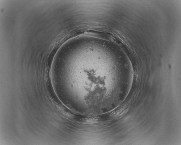 X0000061740462200512091615