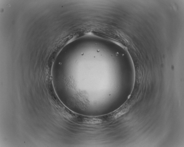 X0000061740463200512091615