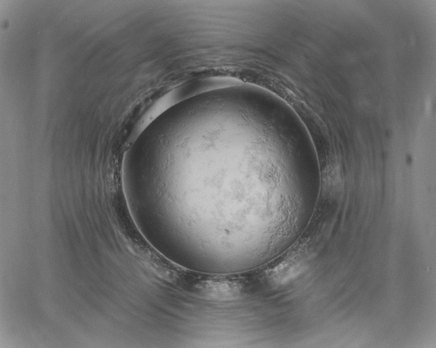 X0000061740464200512091615