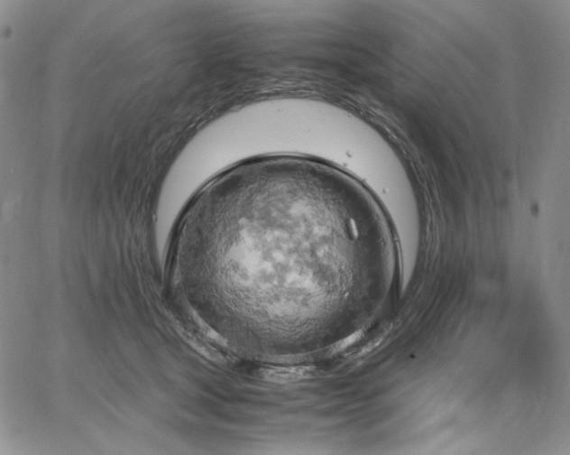 X0000061740465200512091615