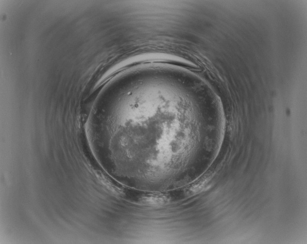 X0000061740466200512091615