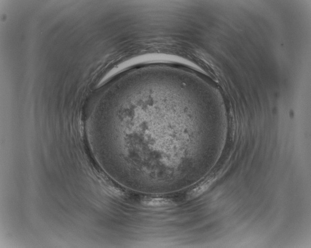 X0000061740467200512091615