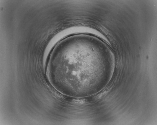 X0000061740469200512091615