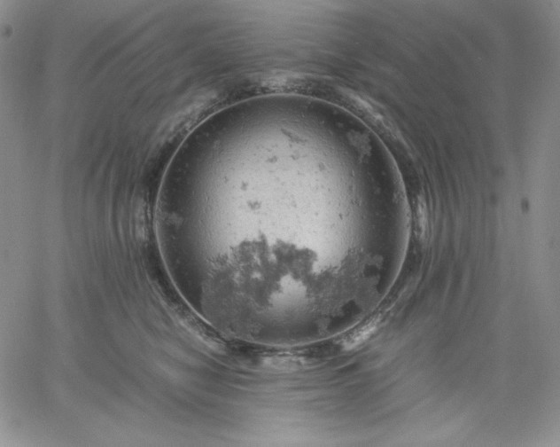 X0000061740470200512091615