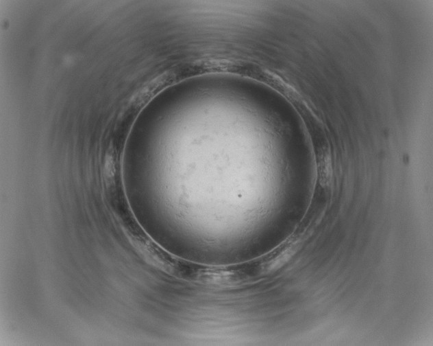 X0000061740472200512091615