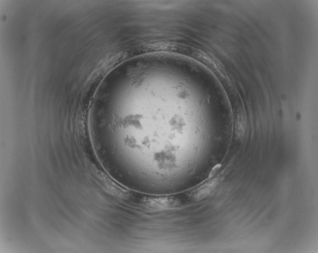 X0000061740473200512091615