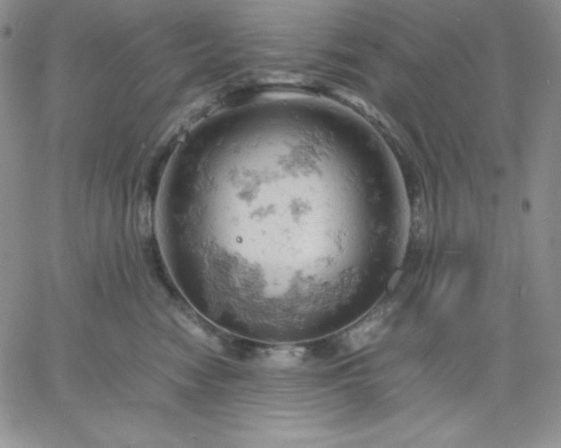 X0000061740474200512091615