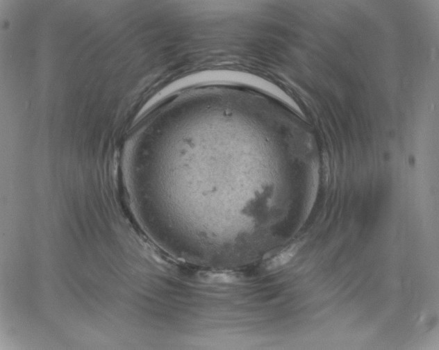 X0000061740475200512091615