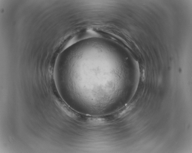 X0000061740476200512091615