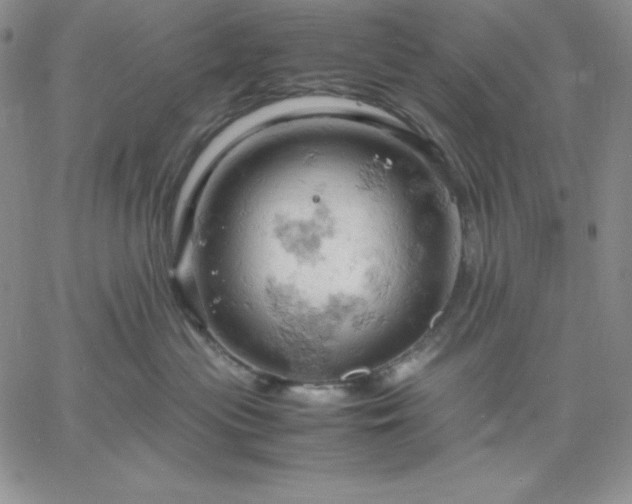 X0000061740477200512091615