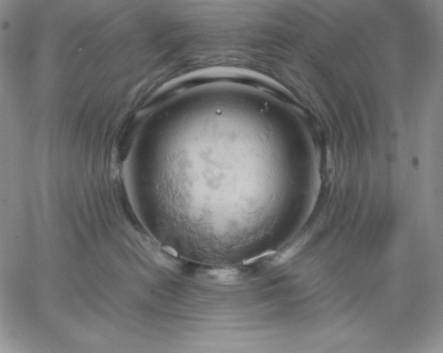 X0000061740478200512091615