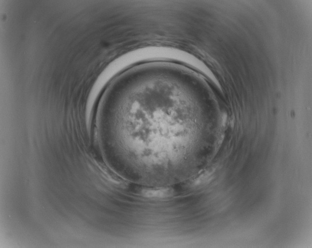 X0000061740479200512091615