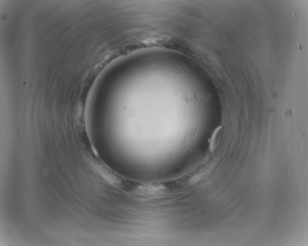 X0000061740480200512091615