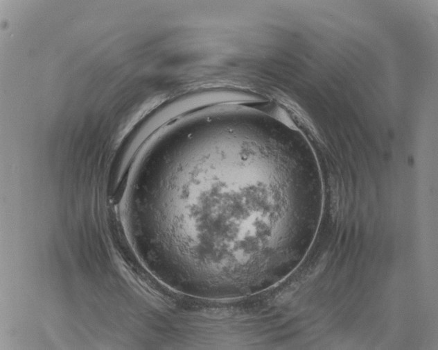 X0000061740482200512091614