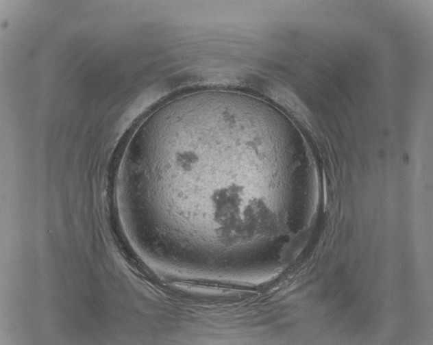 X0000061740483200512091614