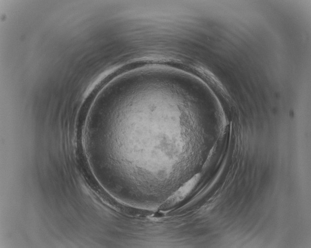 X0000061740484200512091614