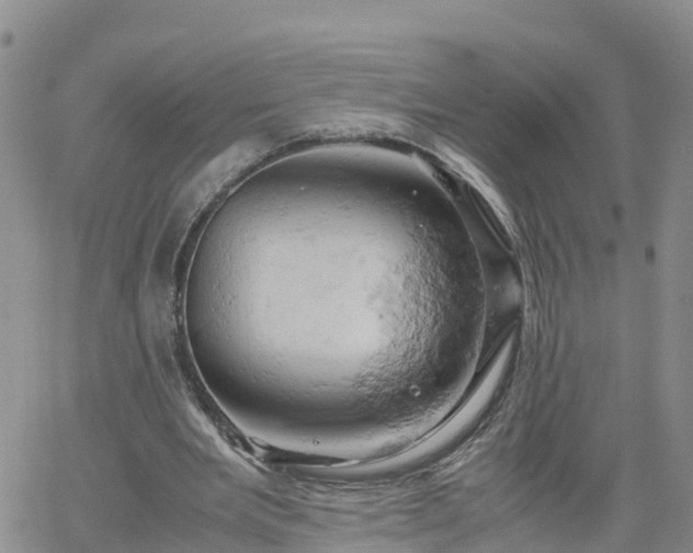 X0000061740485200512091614