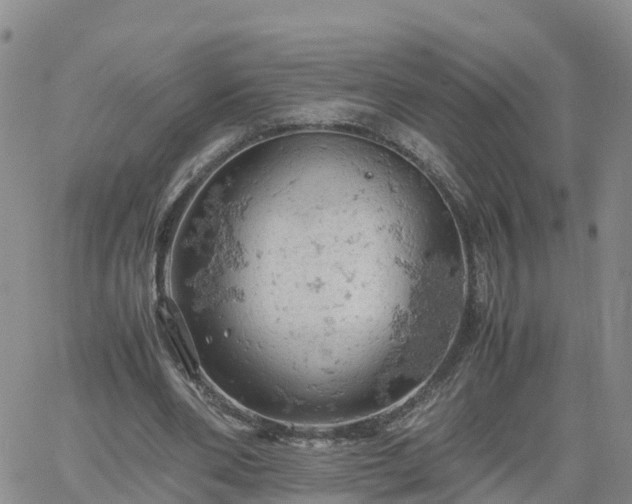 X0000061740486200512091614