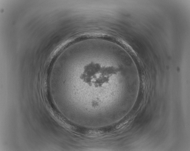 X0000061740487200512091614