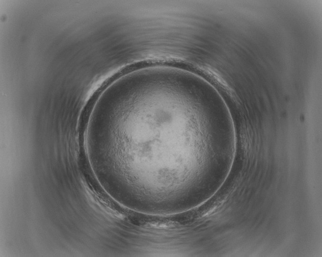 X0000061740488200512091614