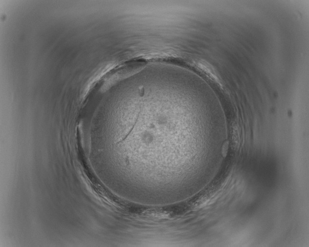 X0000061740491200512091614