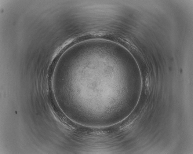 X0000061740492200512091614