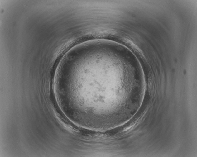 X0000061740493200512091614