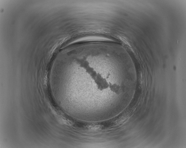 X0000061740495200512091614