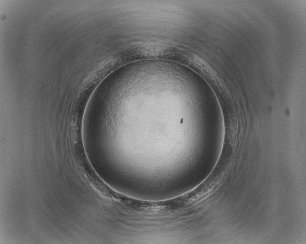 X0000061740497200512091614