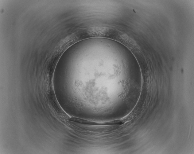 X0000061740498200512091614