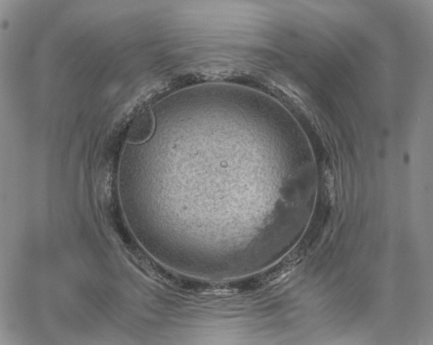 X0000061740499200512091614