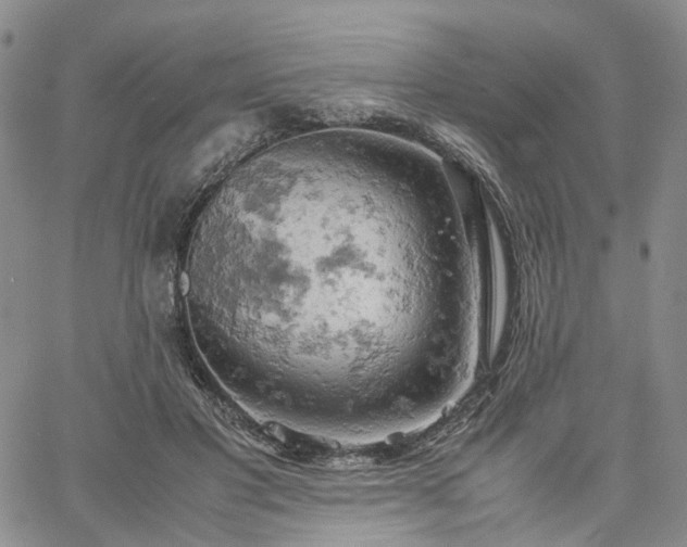 X0000061740501200512091614