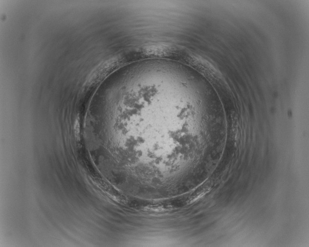 X0000061740502200512091614