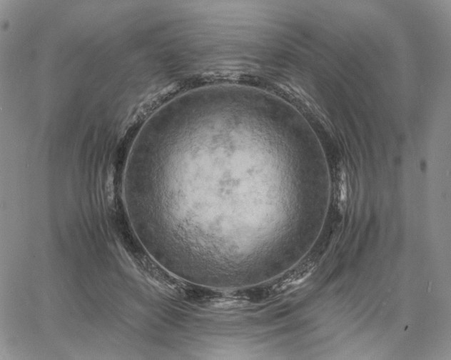 X0000061740504200512091614